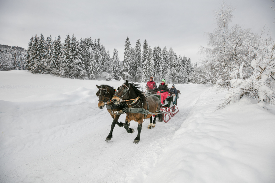 Op de paardenslee. Foto: Österreich Werbung | Harald Eisenberger.