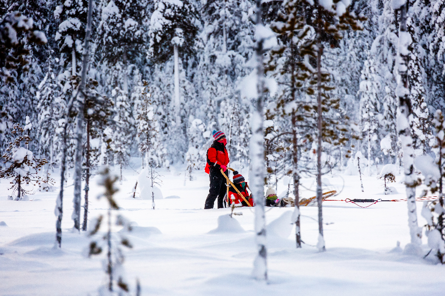 Huskytochten in Arctic Lakeland, Fins Lapland