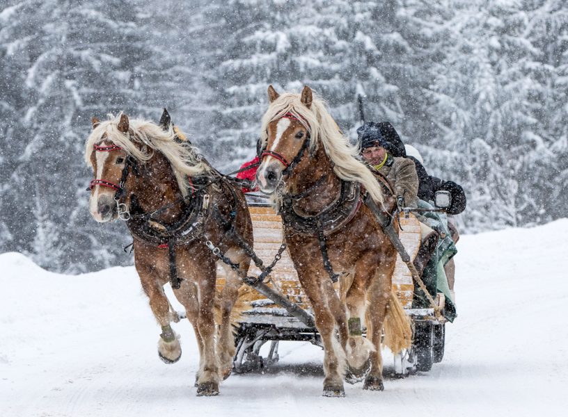 © Schladming-Dachstein | Martin Huber