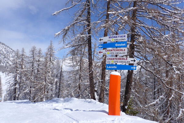 Een groot deel van de pistes gaat tussen de bomen door. Skigebied in Frankrijk