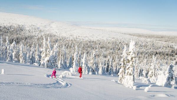 Once in a lifetime: skiën, husky’s en héél veel sneeuw in de Scandinavian Mountains
