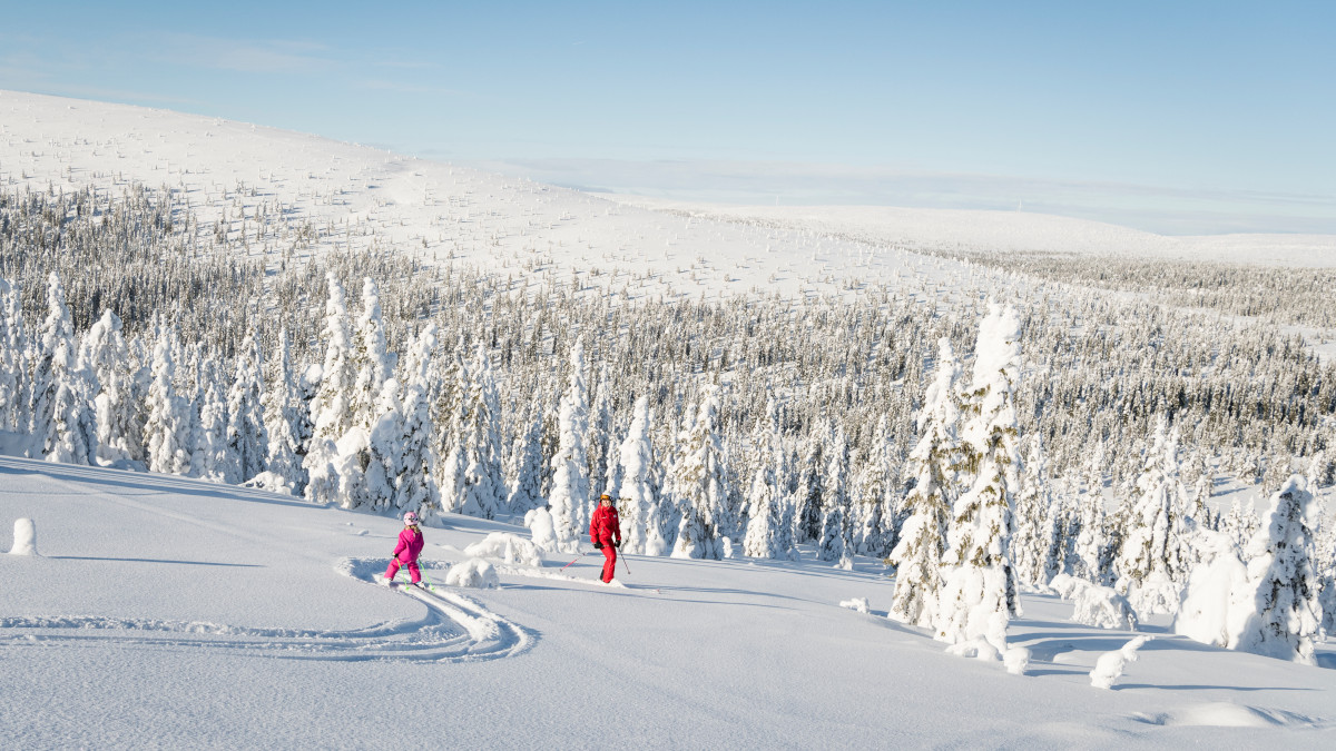 Once in a lifetime: skiën, husky’s en héél veel sneeuw in de Scandinavian Mountains