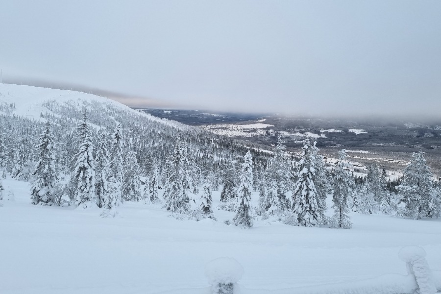 Winterlandschap Zweden.