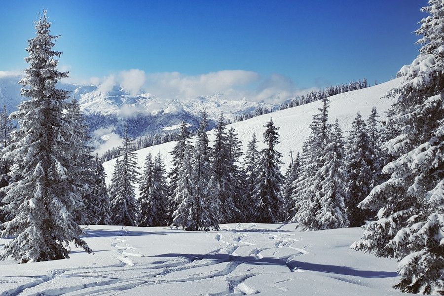 Appartement Westendorf