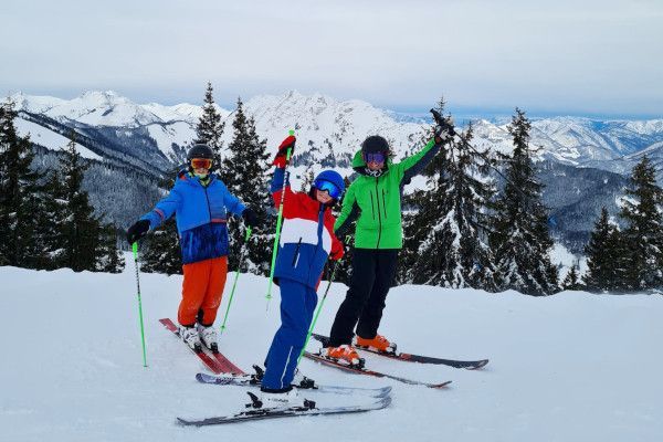 Skibril vervangen