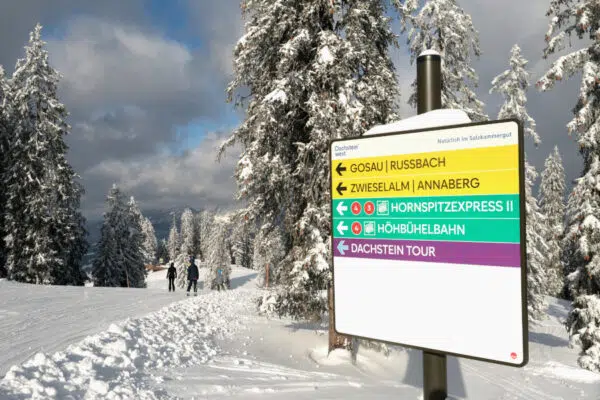 Dachstein Tour: ontspannen skironde door Dachstein West