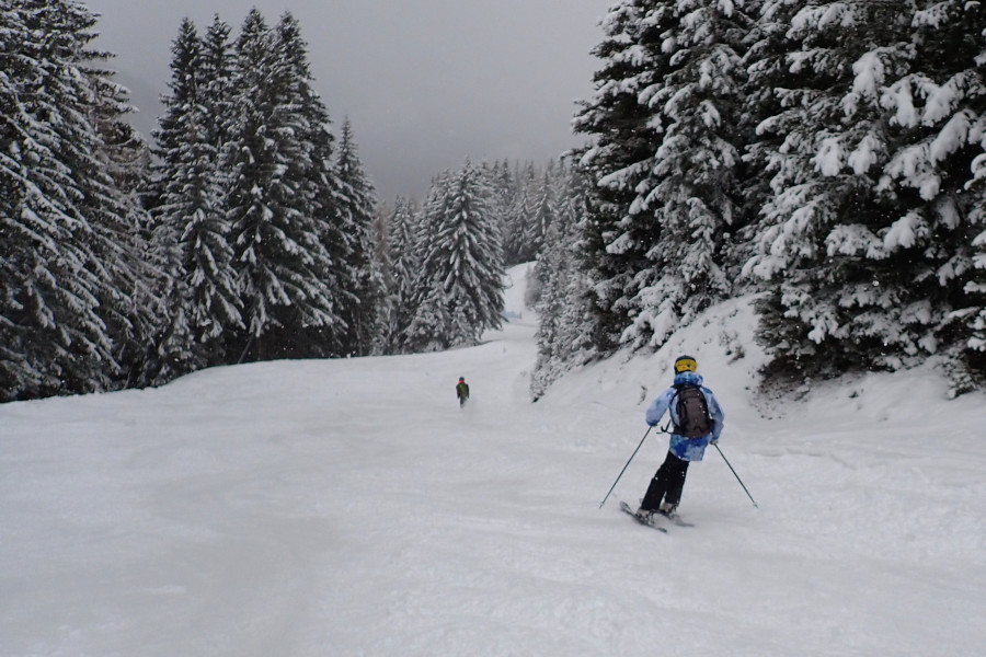 Trametsch dalafdaling.