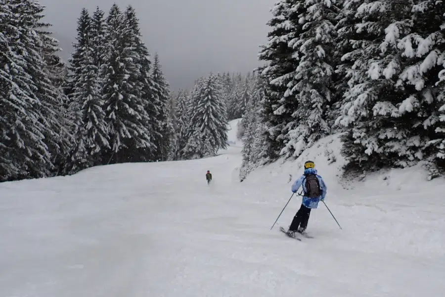 Trametsch dalafdaling.