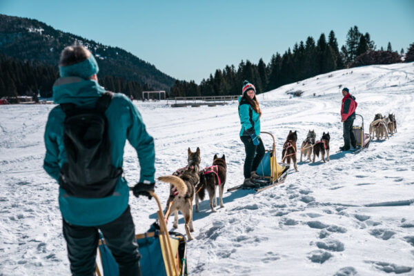Sneeuwpret: de leukste winterse activiteiten in Skirama Dolomiti
