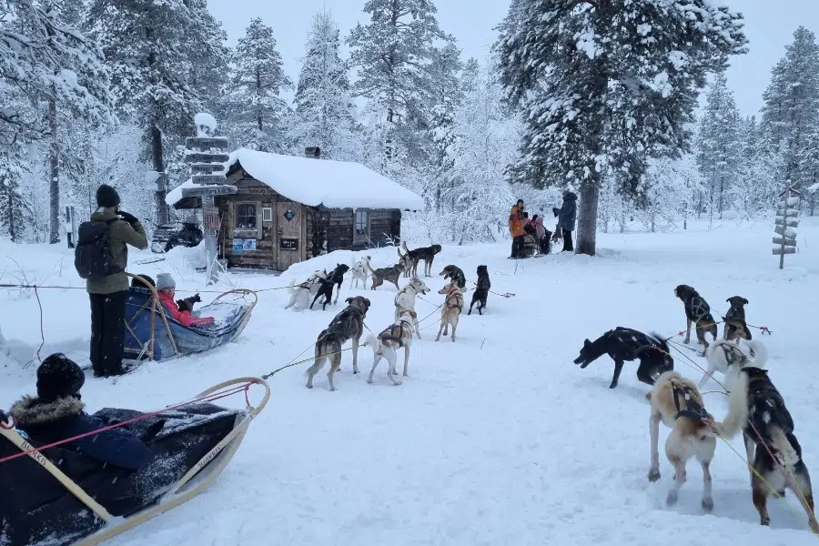 Hondenseeltocht Zweden