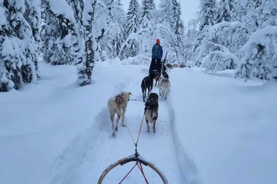 een magische ervaring