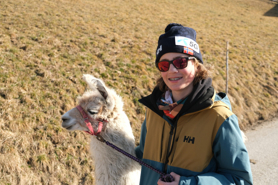 Lama wandeling op de Wattenberg