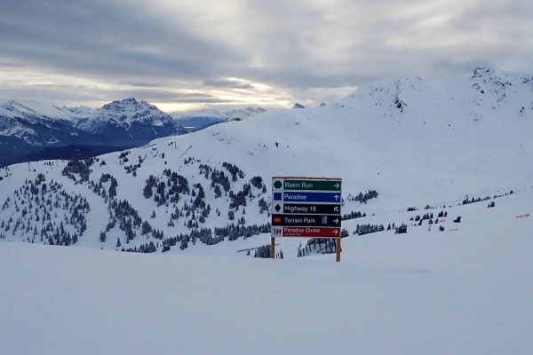 skigebied Marmot Basin pistes