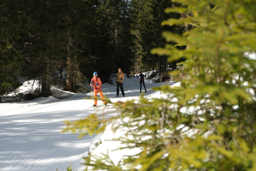 Langlaufen in Seefeld bij Wildmoos