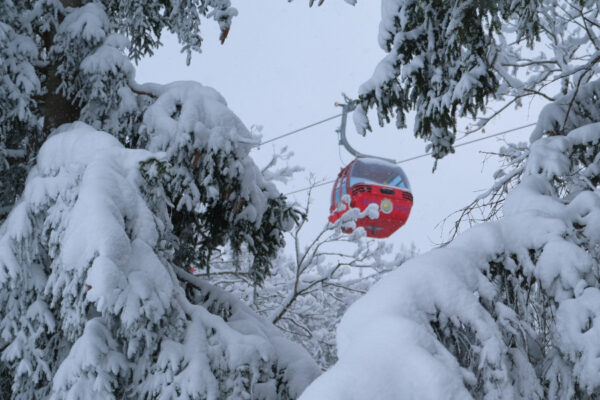 Sneeuw in SkiWelt