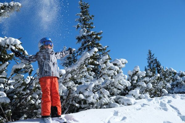 Alpina helm en skibril