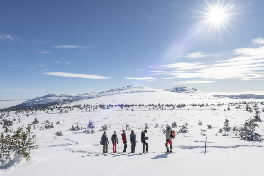 Sneeuwschoenwandelen in Trysil (Foto: Wolverine Adventures)