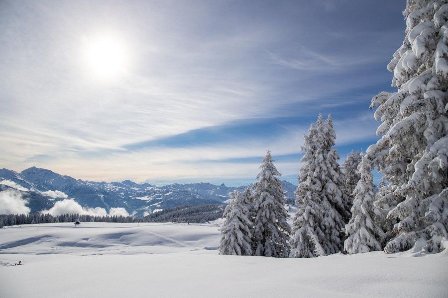 Sneeuwzeker Frankrijk: de meest sneeuwzekere skigebieden
