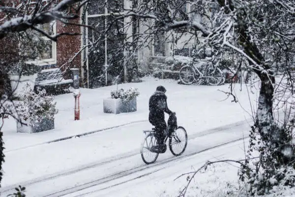 Koudste winter in 100 jaar? Wetenschappers voorspellen extreme winter en veel sneeuw