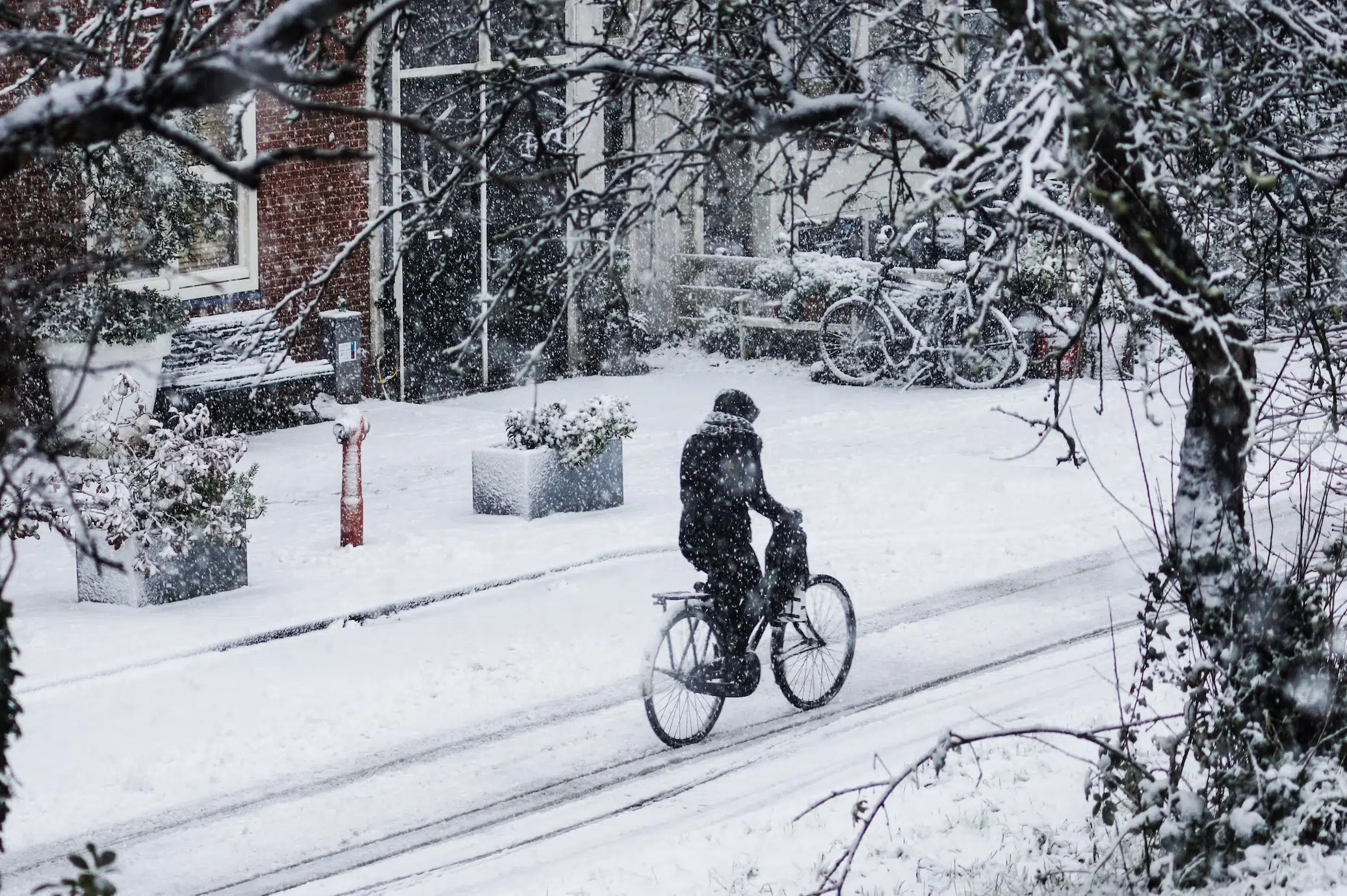 Koudste winter in 100 jaar? Wetenschappers voorspellen extreme winter en veel sneeuw