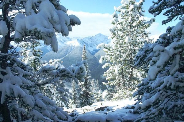 Canada is voor wintersporters een zeer sneeuwzekere bestemming.